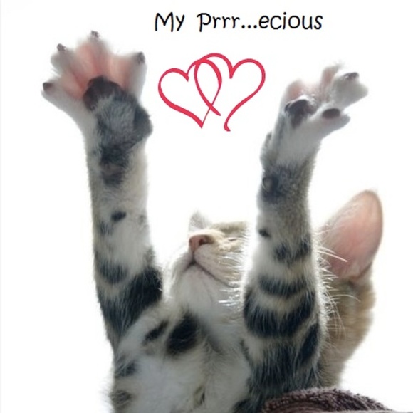 Meet your Posher, Max - Picture 4 of 6